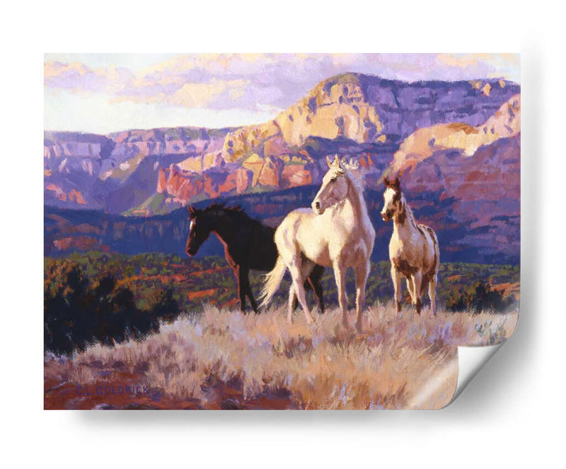 En El Fresco Del Día. - Claire Goldrick | Cuadro decorativo de Canvas Lab