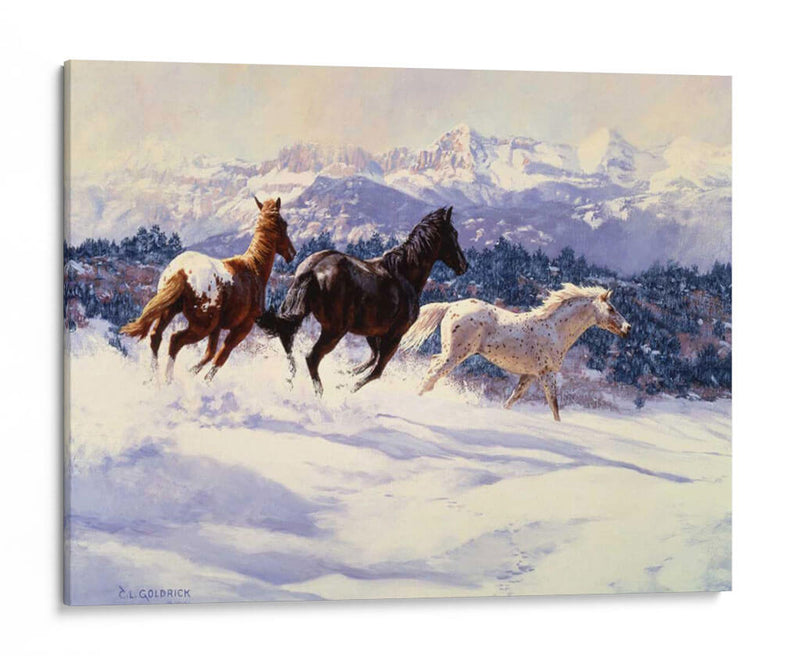 Espíritus De Invierno - Claire Goldrick | Cuadro decorativo de Canvas Lab