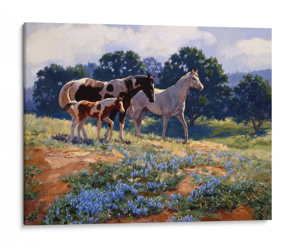 Breezas De Abril - Claire Goldrick | Cuadro decorativo de Canvas Lab
