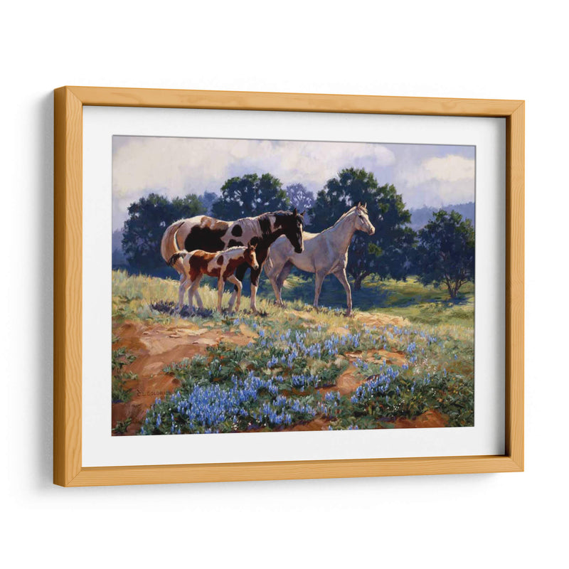 Breezas De Abril - Claire Goldrick | Cuadro decorativo de Canvas Lab