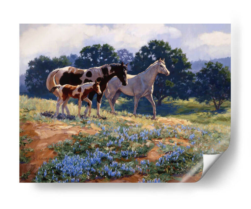 Breezas De Abril - Claire Goldrick | Cuadro decorativo de Canvas Lab