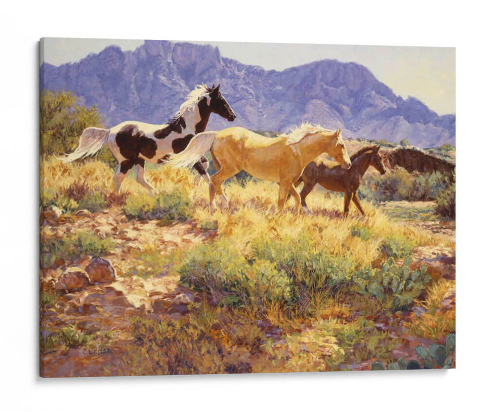 Caballos En Big Wash - Claire Goldrick | Cuadro decorativo de Canvas Lab