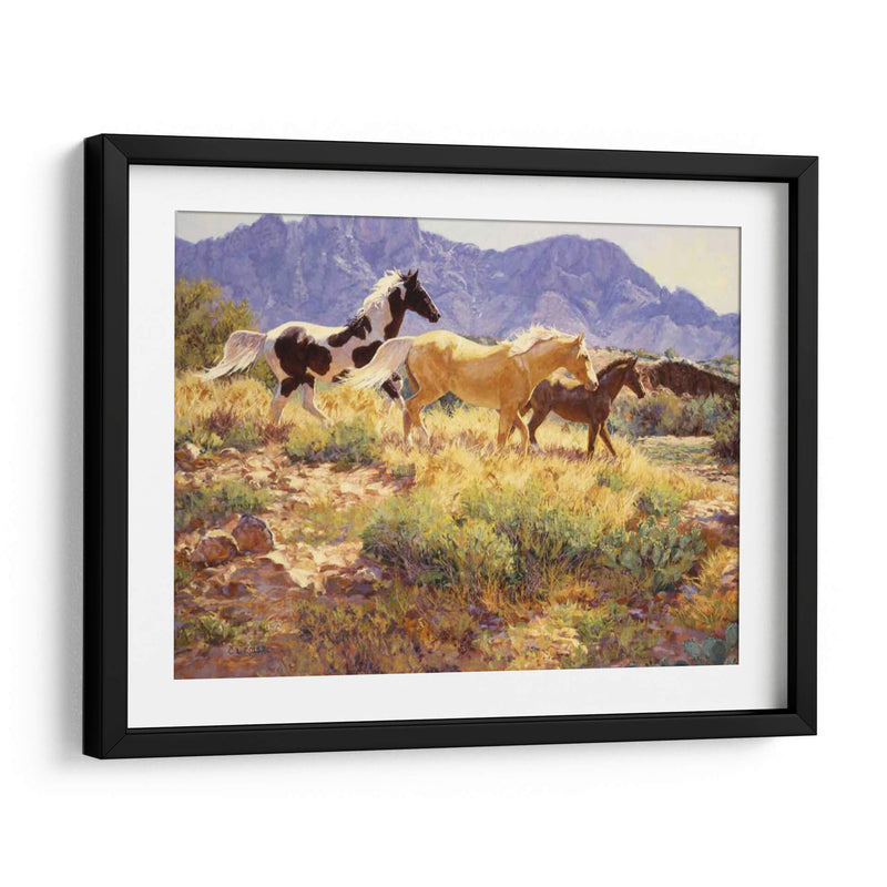 Caballos En Big Wash - Claire Goldrick | Cuadro decorativo de Canvas Lab