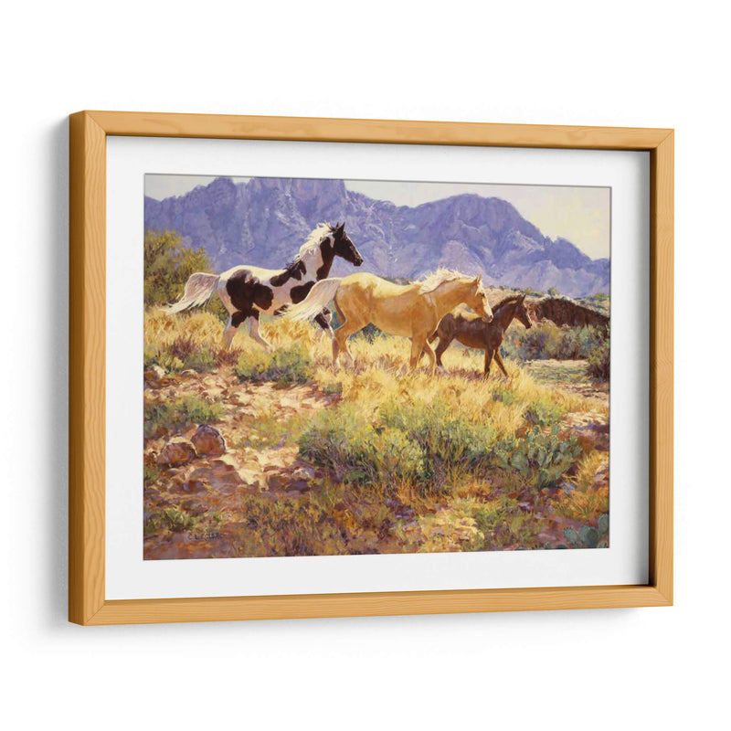 Caballos En Big Wash - Claire Goldrick | Cuadro decorativo de Canvas Lab