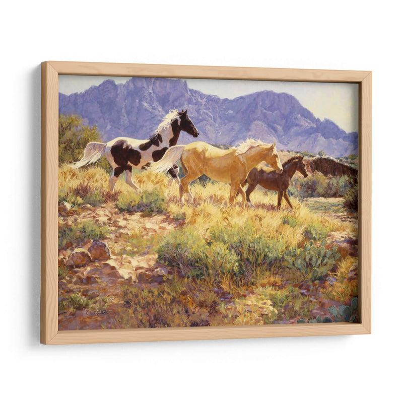 Caballos En Big Wash - Claire Goldrick | Cuadro decorativo de Canvas Lab