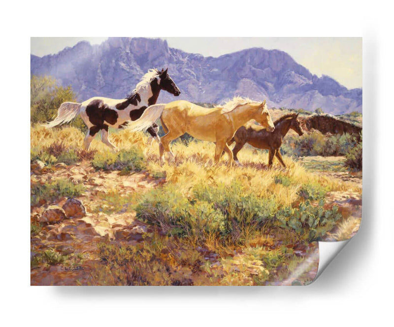 Caballos En Big Wash - Claire Goldrick | Cuadro decorativo de Canvas Lab