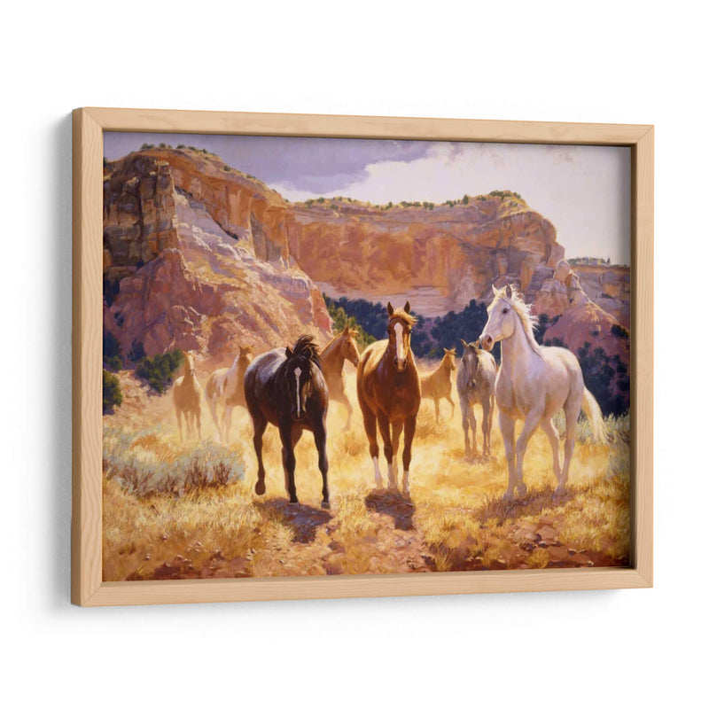 Senderos De Cañón - Claire Goldrick | Cuadro decorativo de Canvas Lab