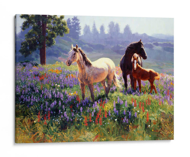 Temporada De Satisfacción - Claire Goldrick | Cuadro decorativo de Canvas Lab