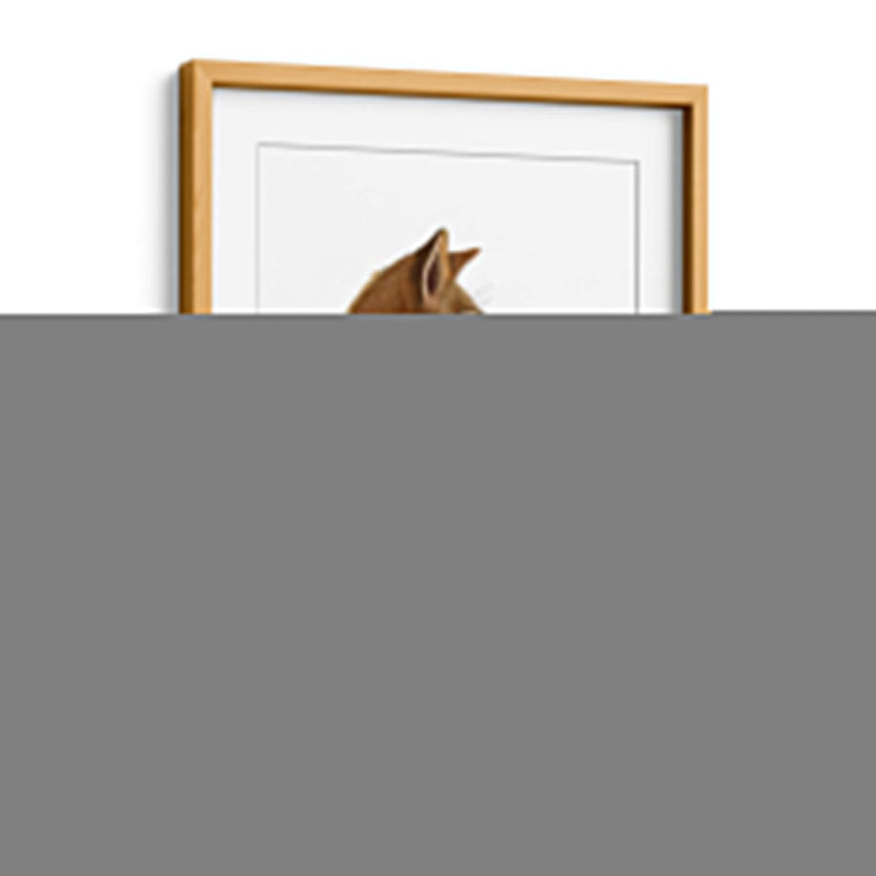 Tarsa De Vino Zorro, Retrato - Fab Funky | Cuadro decorativo de Canvas Lab