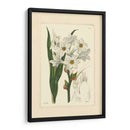 Blanco Curtis Botanical I - Vision Studio | Cuadro decorativo de Canvas Lab