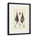 Concha De Mar Personalizada Iii - Diderot | Cuadro decorativo de Canvas Lab