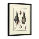 Concha De Mar Personalizada Iii - Diderot | Cuadro decorativo de Canvas Lab