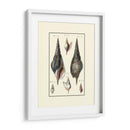 Concha De Mar Personalizada Iii - Diderot | Cuadro decorativo de Canvas Lab