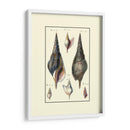 Concha De Mar Personalizada Iii - Diderot | Cuadro decorativo de Canvas Lab