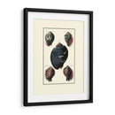 Concha De Mar Personalizada Vii - Diderot | Cuadro decorativo de Canvas Lab