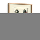 Concha De Mar Personalizada Vii - Diderot | Cuadro decorativo de Canvas Lab