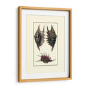 Concha De Mar De Encargo Viii - Diderot | Cuadro decorativo de Canvas Lab