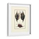 Concha De Mar De Encargo Viii - Diderot | Cuadro decorativo de Canvas Lab