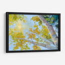 Toldo De Álamo Temblón - Nanette Oleson | Cuadro decorativo de Canvas Lab