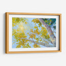 Toldo De Álamo Temblón - Nanette Oleson | Cuadro decorativo de Canvas Lab