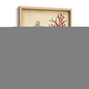 Oceans Bounty I - Vision Studio | Cuadro decorativo de Canvas Lab