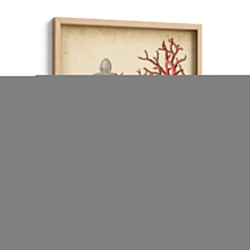 Oceans Bounty I - Vision Studio | Cuadro decorativo de Canvas Lab