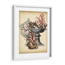 Oceans Bounty I - Vision Studio | Cuadro decorativo de Canvas Lab