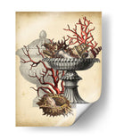 Oceans Bounty I - Vision Studio | Cuadro decorativo de Canvas Lab