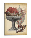 Oceans Bounty Ii - Vision Studio | Cuadro decorativo de Canvas Lab