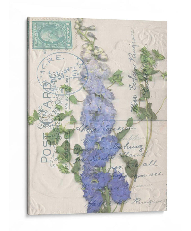 Postal Postal Wildflowers Ii - Jennifer Goldberger | Cuadro decorativo de Canvas Lab