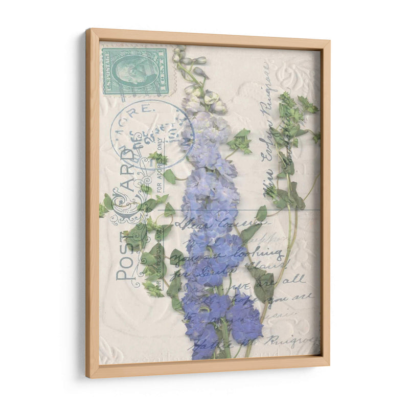 Postal Postal Wildflowers Ii - Jennifer Goldberger | Cuadro decorativo de Canvas Lab