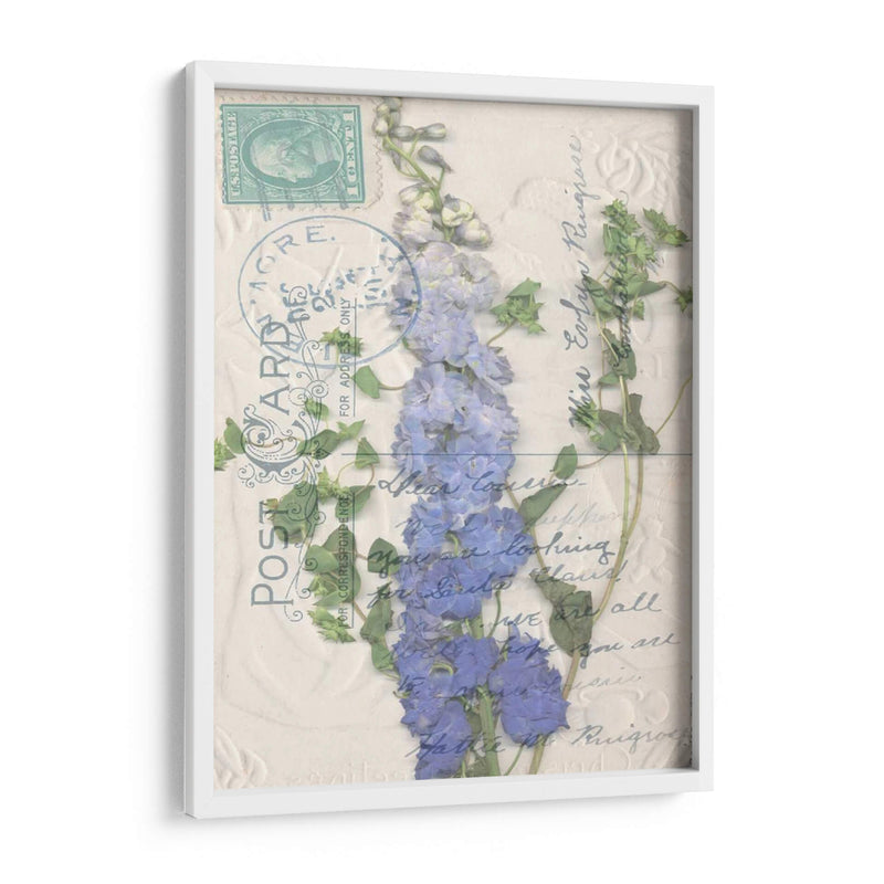 Postal Postal Wildflowers Ii - Jennifer Goldberger | Cuadro decorativo de Canvas Lab