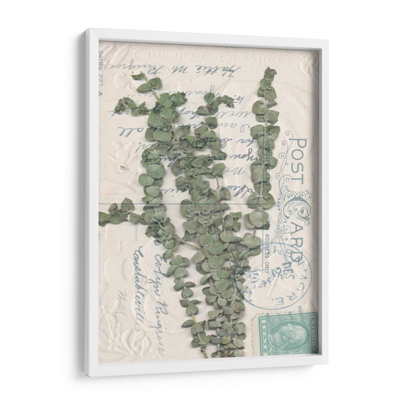 Postal Postal Wildflowers Iii - Jennifer Goldberger | Cuadro decorativo de Canvas Lab