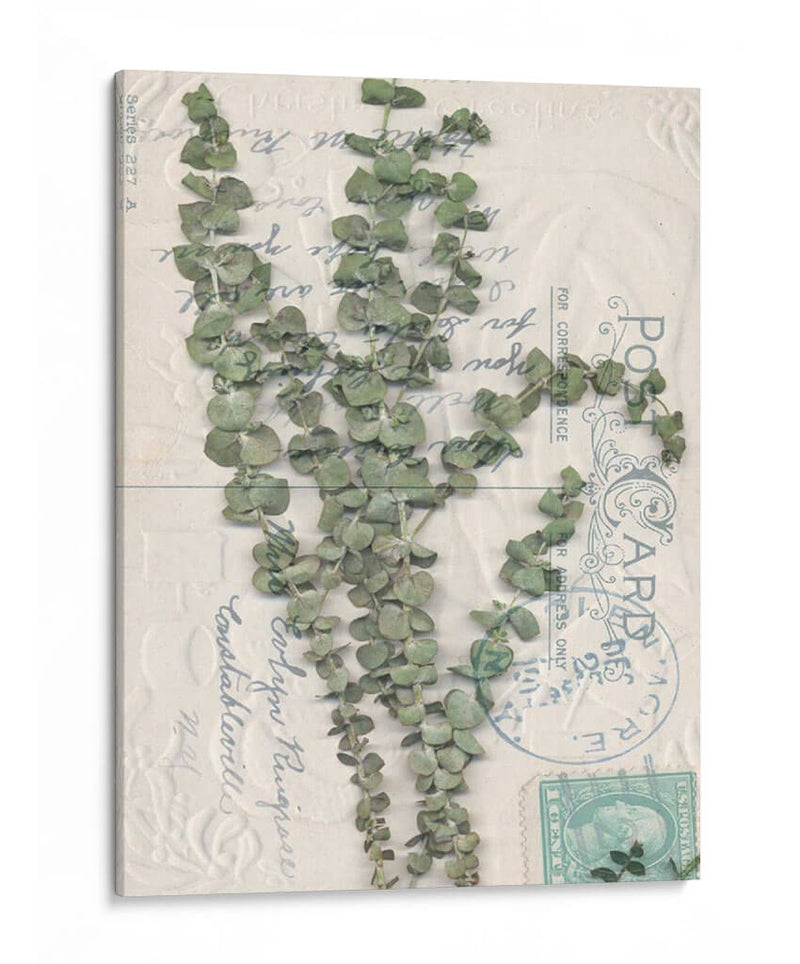 Postal Postal Wildflowers Iv - Jennifer Goldberger | Cuadro decorativo de Canvas Lab