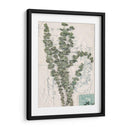 Postal Postal Wildflowers Iv - Jennifer Goldberger | Cuadro decorativo de Canvas Lab