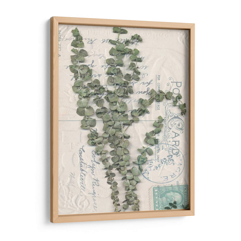 Postal Postal Wildflowers Iv - Jennifer Goldberger | Cuadro decorativo de Canvas Lab