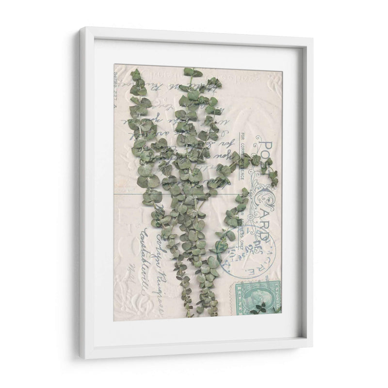 Postal Postal Wildflowers Iv - Jennifer Goldberger | Cuadro decorativo de Canvas Lab