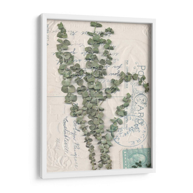 Postal Postal Wildflowers Iv - Jennifer Goldberger | Cuadro decorativo de Canvas Lab