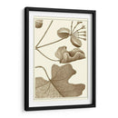 Recortado Sepia Botánica I - Vision Studio | Cuadro decorativo de Canvas Lab