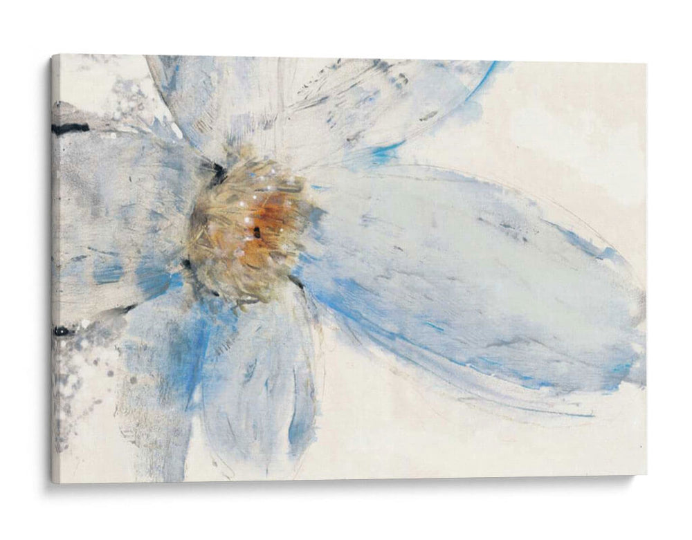 Azul Floral I - Tim OToole | Cuadro decorativo de Canvas Lab