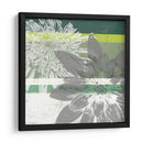 Floraciones Gráficas Ii - Jennifer Goldberger | Cuadro decorativo de Canvas Lab