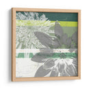 Floraciones Gráficas Ii - Jennifer Goldberger | Cuadro decorativo de Canvas Lab