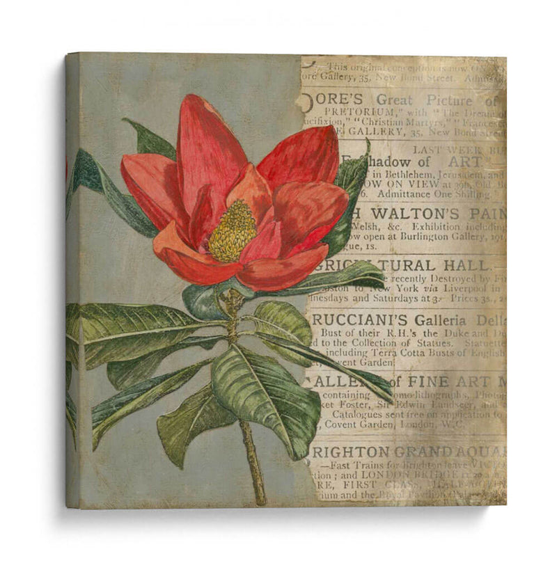 Vintage Fleur Rouge I - Megan Meagher | Cuadro decorativo de Canvas Lab