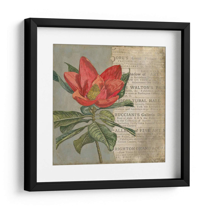 Vintage Fleur Rouge I - Megan Meagher | Cuadro decorativo de Canvas Lab