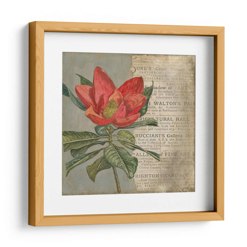 Vintage Fleur Rouge I - Megan Meagher | Cuadro decorativo de Canvas Lab