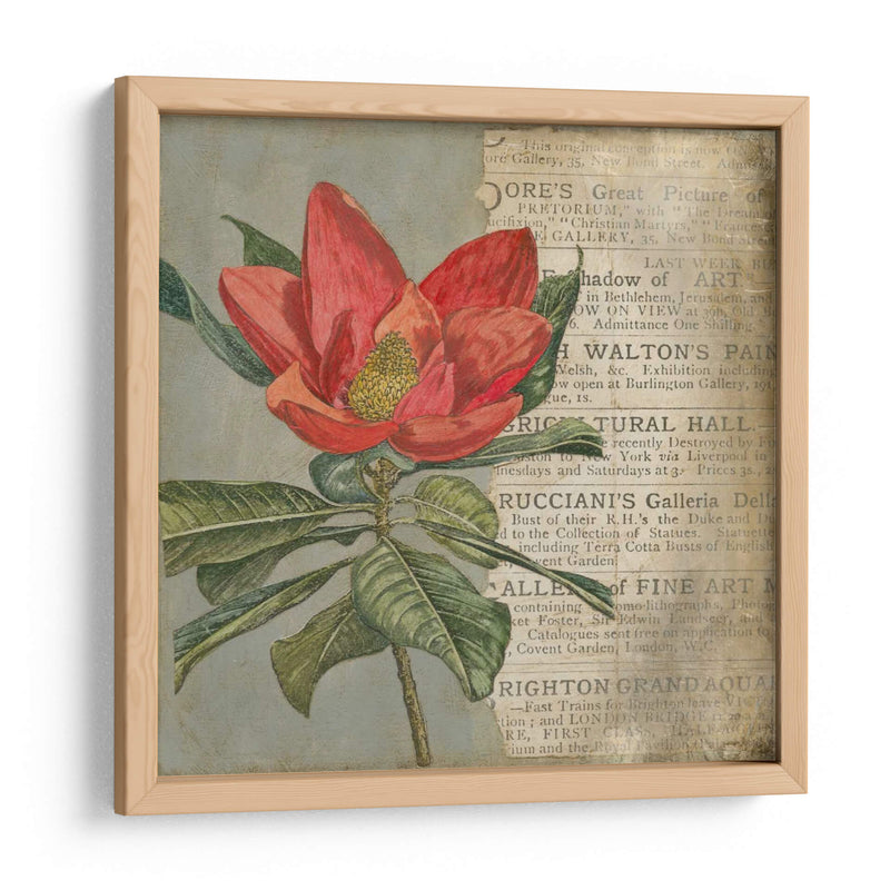 Vintage Fleur Rouge I - Megan Meagher | Cuadro decorativo de Canvas Lab