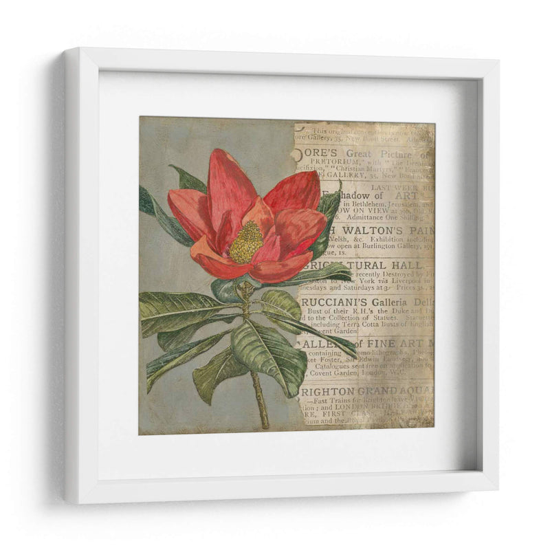 Vintage Fleur Rouge I - Megan Meagher | Cuadro decorativo de Canvas Lab