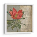 Vintage Fleur Rouge I - Megan Meagher | Cuadro decorativo de Canvas Lab