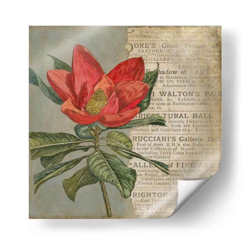 Vintage Fleur Rouge I - Megan Meagher | Cuadro decorativo de Canvas Lab