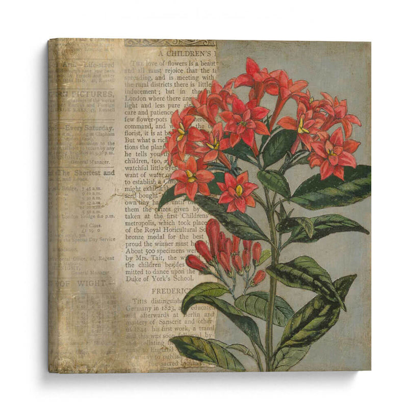 Vintage Fleur Rouge Ii - Megan Meagher | Cuadro decorativo de Canvas Lab